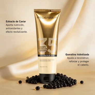 Champú para pelo seco y dañado Redenhair
