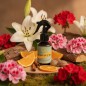 Ambientador Perfume Primavera con notas de naranja, ámbar, canela, geranio, lirio, cedro y musgo. Ambientador Perfume Primavera con notas de naranja, ámbar, canela, geranio, lirio, cedro y musgo.